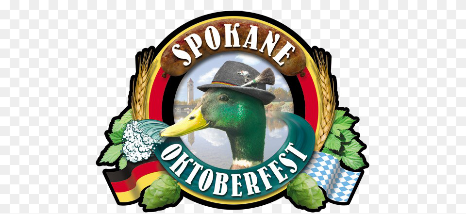 Spokane Oktoberfest, Animal, Bird, Duck, Waterfowl Png Image