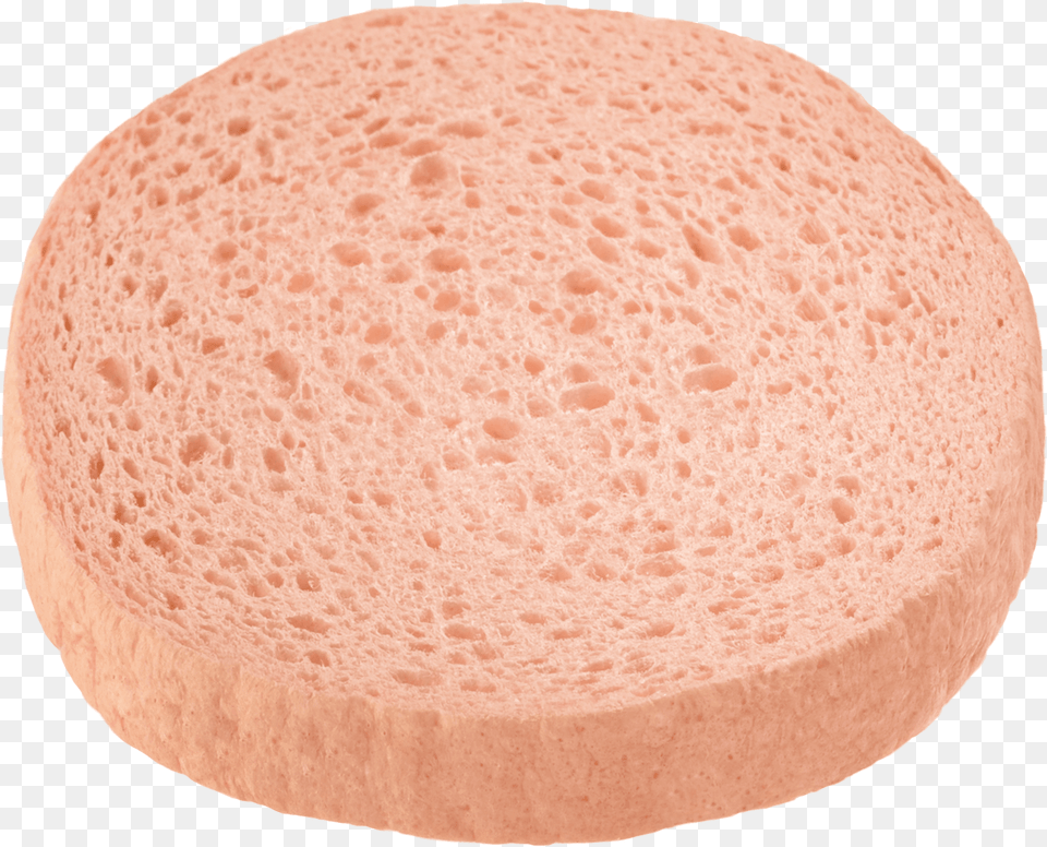 Sponge Png