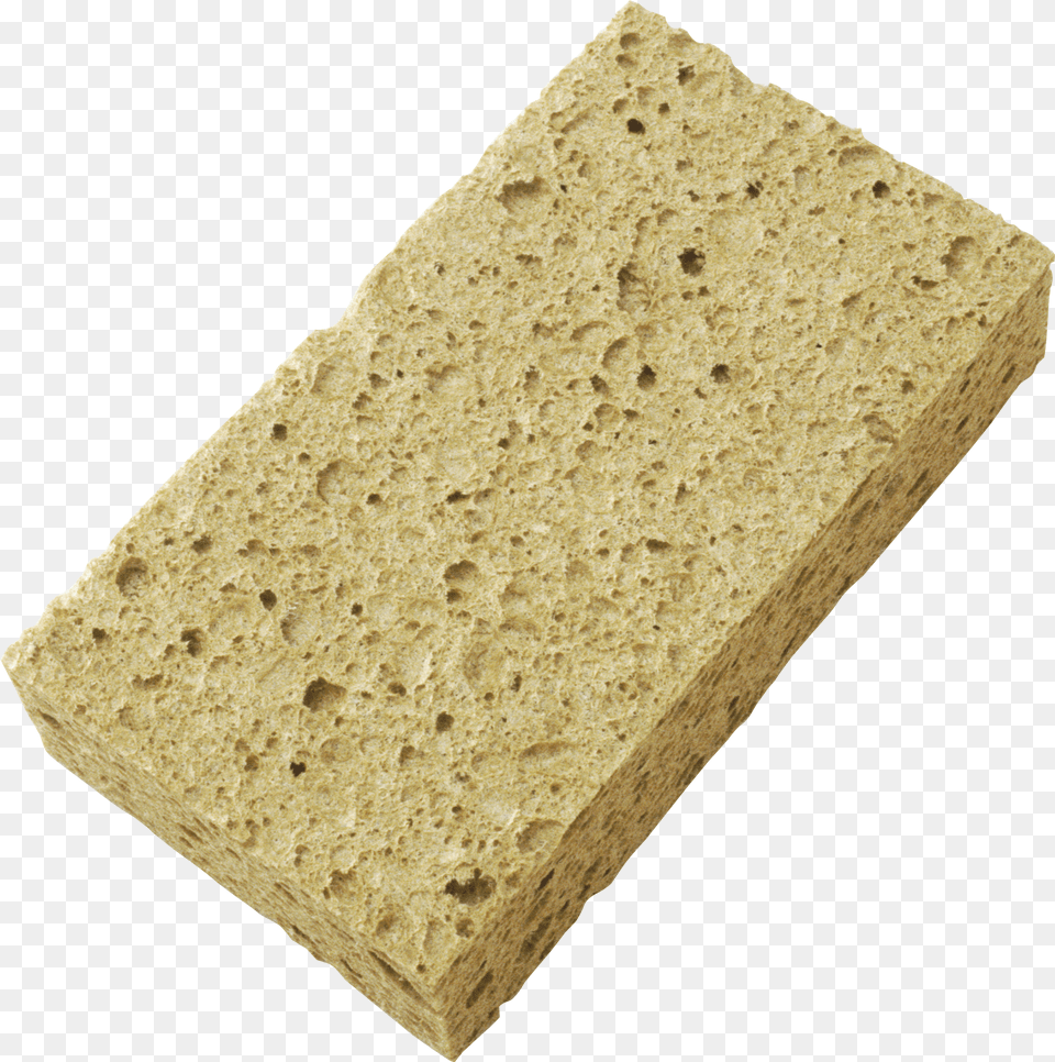 Sponge Png