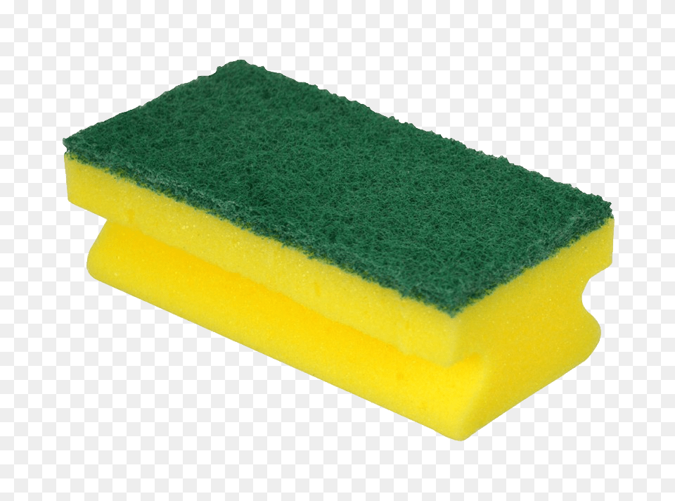 Sponge Free Png