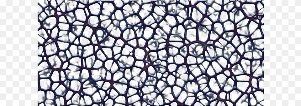 Sponge Pattern, Texture Free Png