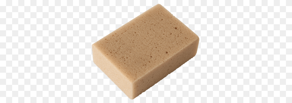 Sponge Png