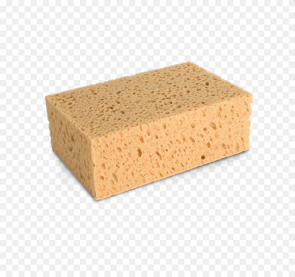 Sponge, Bread, Food Free Transparent Png