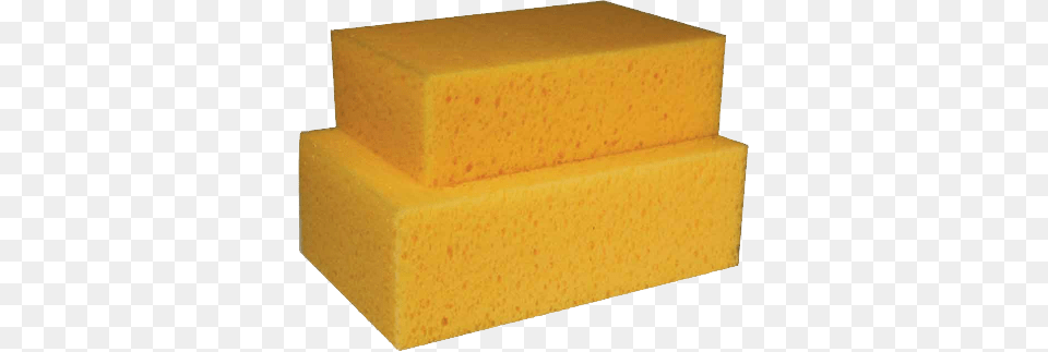 Sponge Free Png