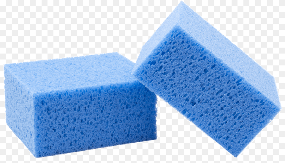 Sponge Free Png