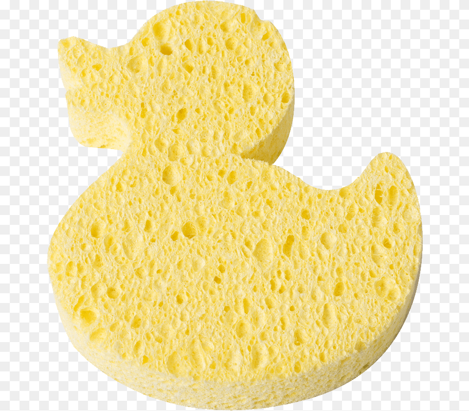 Sponge Bath Png