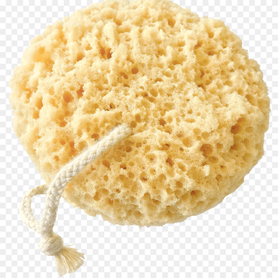 Sponge Bath Png Image