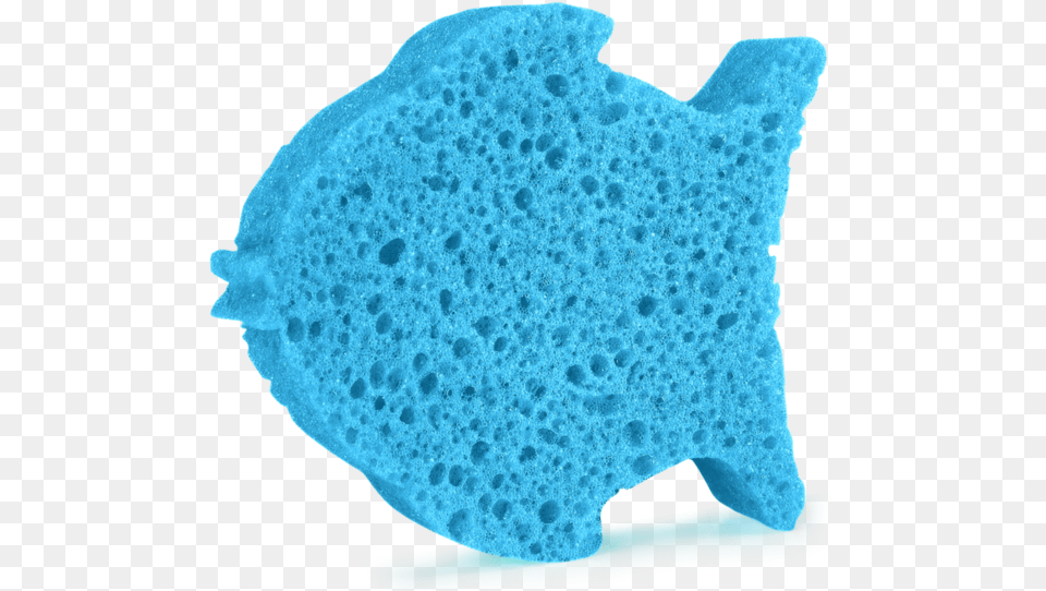 Sponge Fish Free Png Download