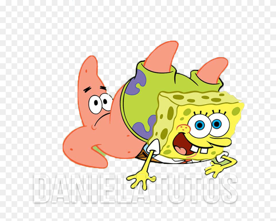 Spongebob Squarepants, Amphibian, Animal, Frog, Wildlife Free Png