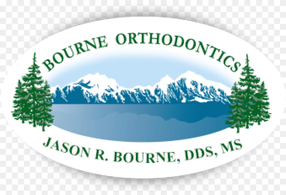 Sponsors Of Laces Baseball Bourne Orthodontics, Tree, Plant, Vegetation, Pine Png