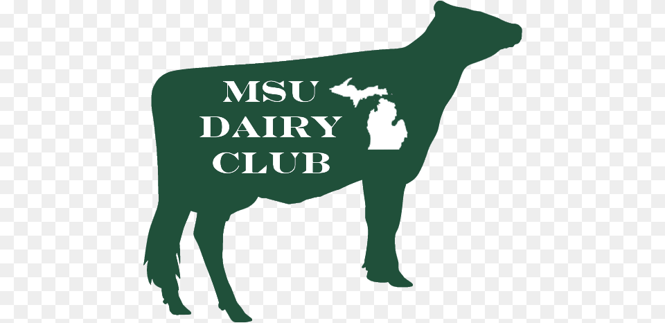 Sponsorship Michigan State University Dairy Club Animal Figure, Cattle, Livestock, Mammal, Person Free Png Download