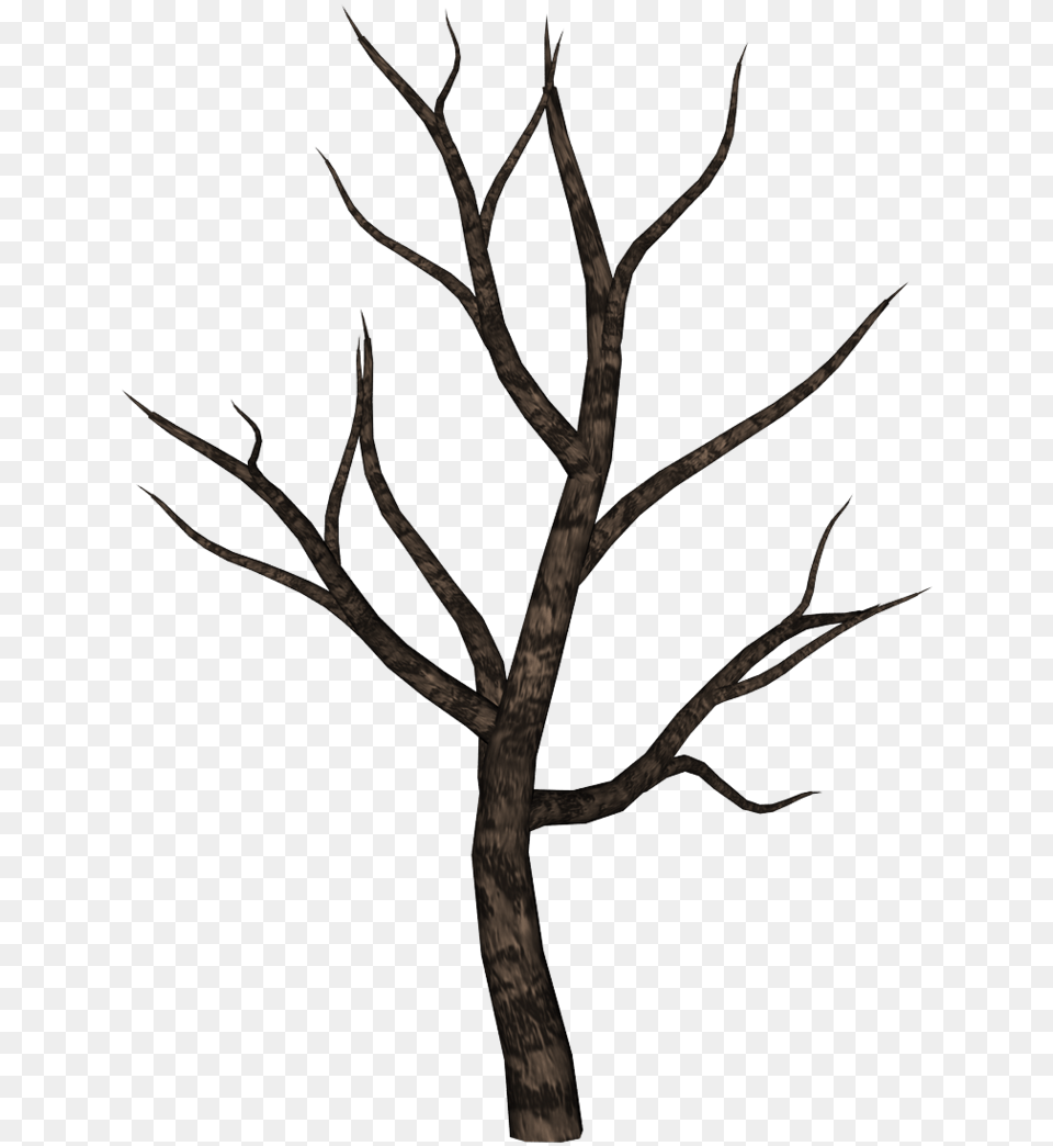 Spooky By Ecathe Art Creepy Tree Drawing Easy, Antler, Plant Png Image