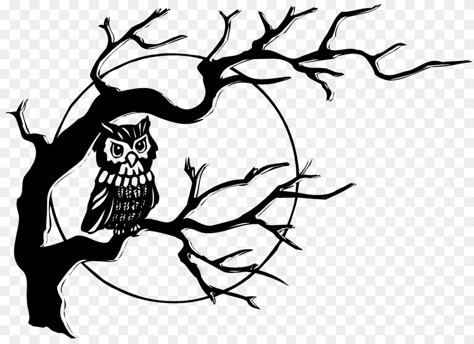 Spooky Clipart Owl, Stencil, Animal, Bird, Art Png Image
