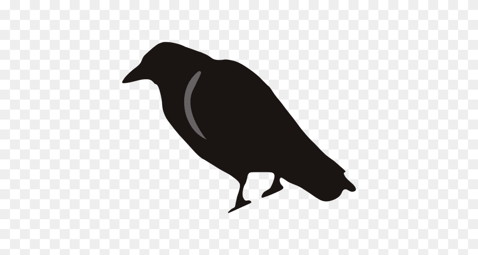 Spooky Crow Cartoon, Animal, Bird, Kangaroo, Mammal Free Png