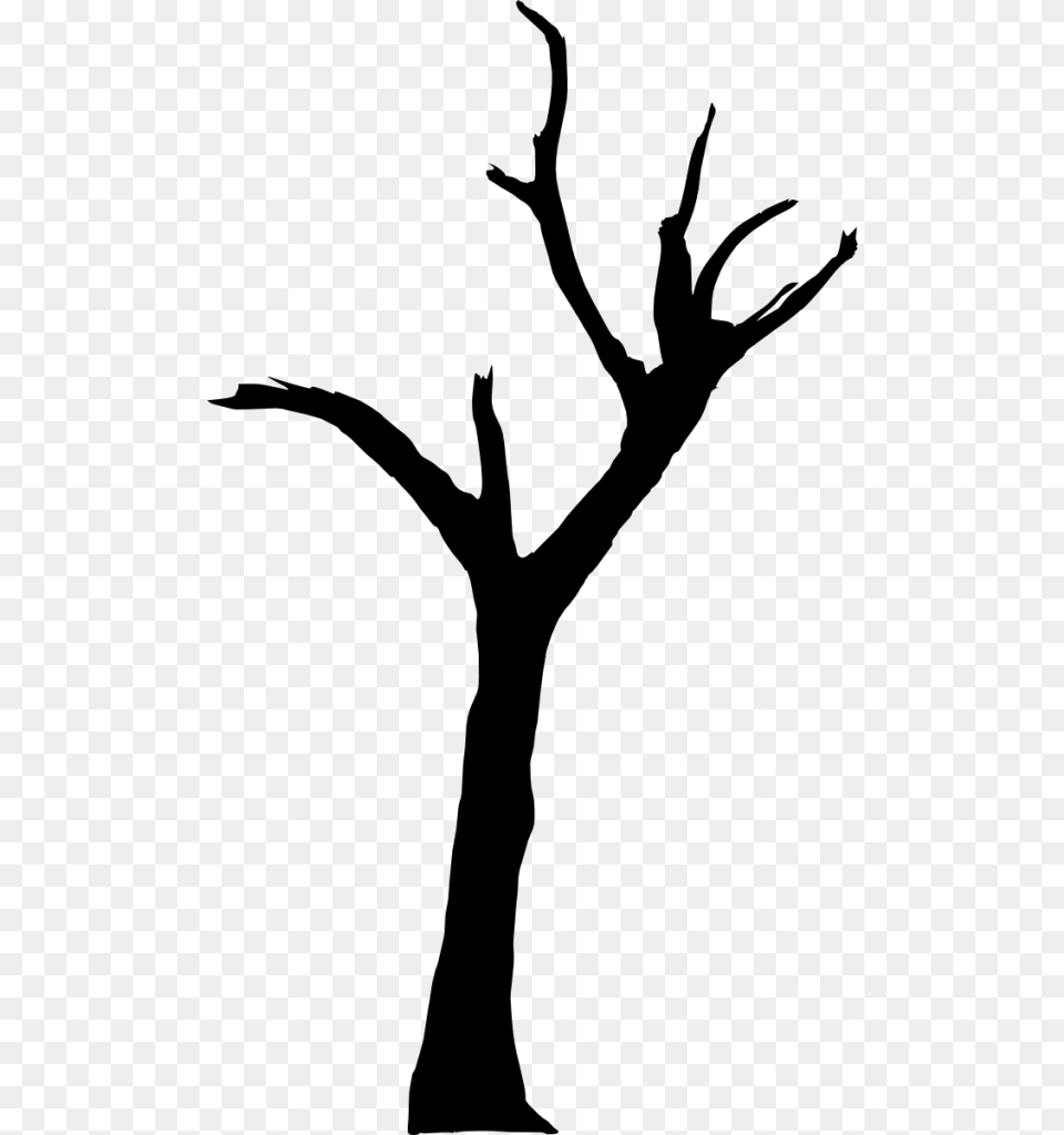 Spooky Dead Tree Silhouette Vol Deadvlei, Gray Free Transparent Png