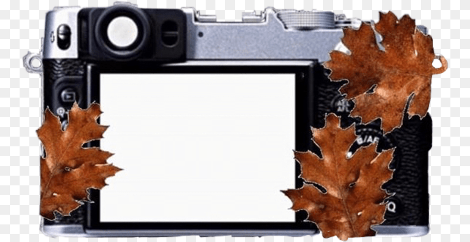 Spooky Fall Fallaesthetic Autumn Overlay Fujifilm, Leaf, Photography, Plant, Electronics Png Image
