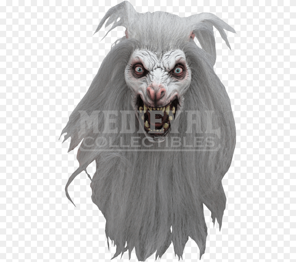 Spooky Moon Wolf Mask Halloween Vippng Mascara De Lobo Ghoulish, Animal, Bird, Snout Free Transparent Png
