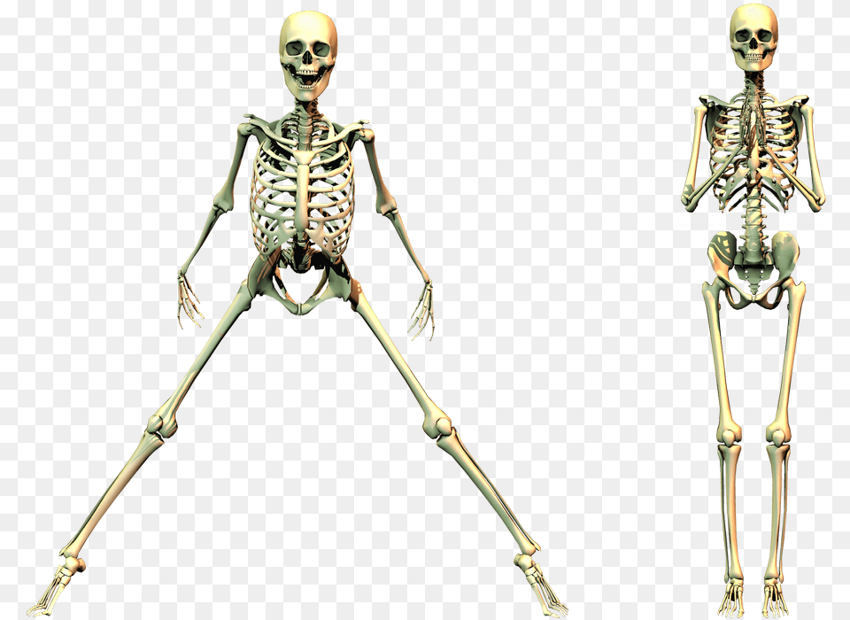 Spooky Skeleton Clipart Spooky Skeleton, Adult, Female, Person, Woman Png