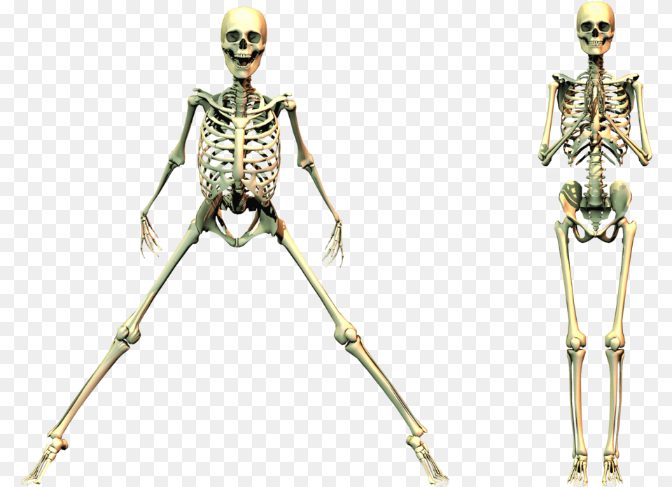 Spooky Skeleton Spooky Skeleton Background, Adult, Person, Woman, Female Png
