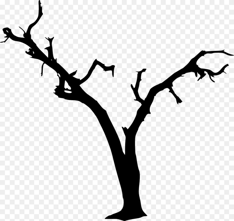 Spooky Tree, Gray Free Png