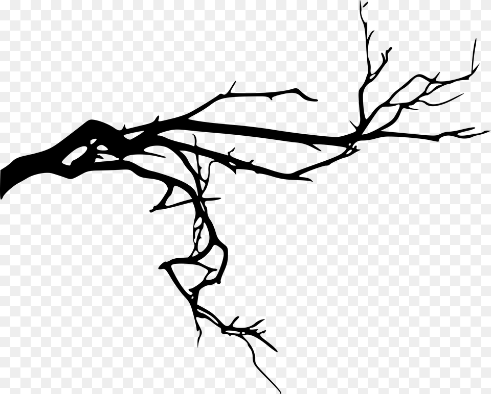 Spooky Tree Branch, Gray Png