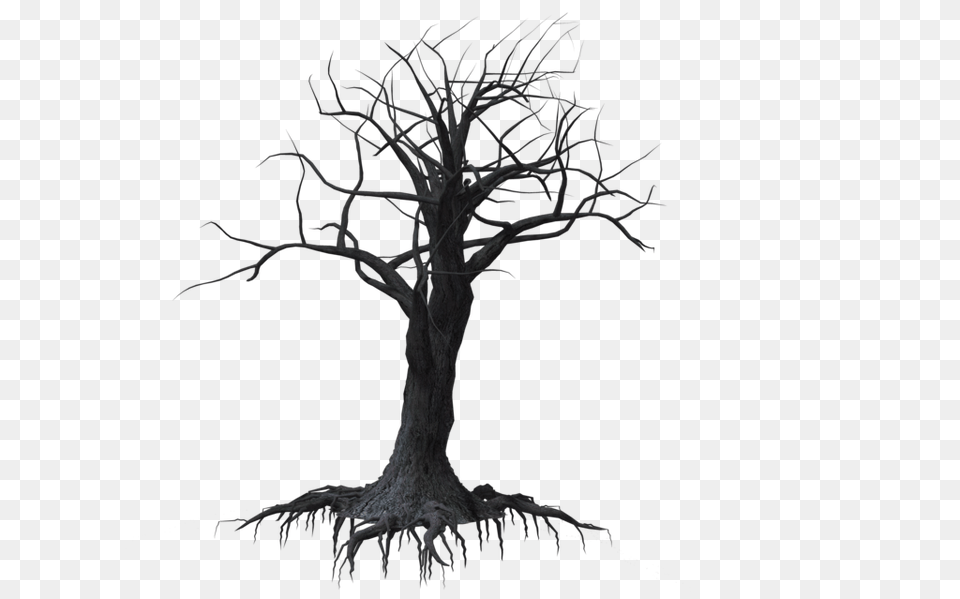 Spooky Tree Clipart Download Clip Art, Plant, Drawing Free Transparent Png