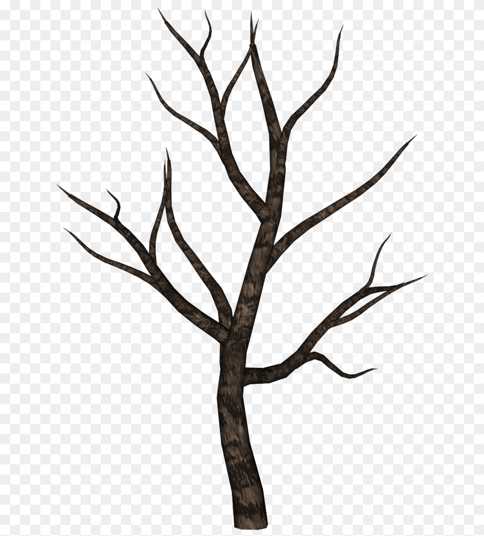 Spooky Tree Clipart Group With Items, Antler, Plant Free Transparent Png