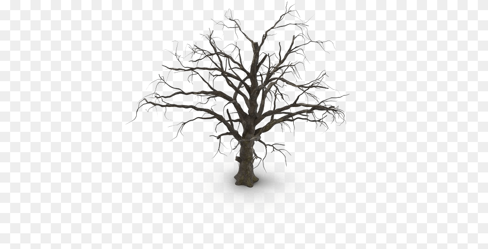 Spooky Tree Hd Mart Dry Bush, Oak, Plant, Ice, Chandelier Png Image