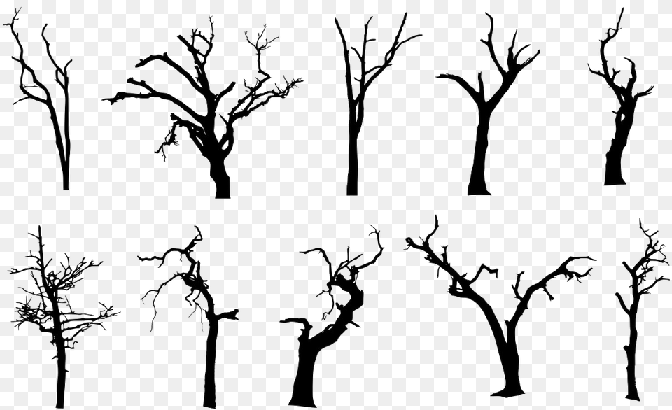 Spooky Tree Photos, Art, Drawing, Stencil, Outdoors Png