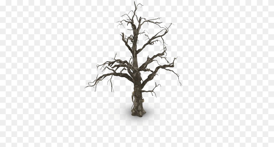 Spooky Tree Pic Mart Portable Network Graphics, Plant, Wood, Art, Drawing Png