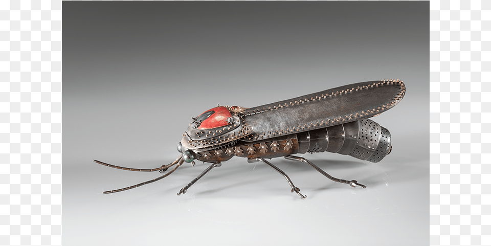 Spoon And Forc Insect Sculptures, Animal, Invertebrate, Firefly Free Transparent Png