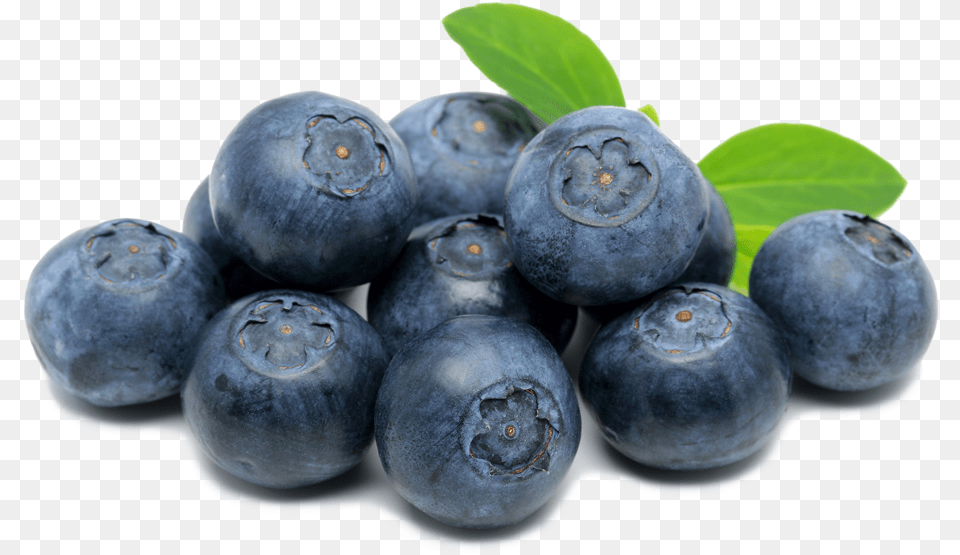 Spooner Farms Inc Blueberries Clip Art, Berry, Blueberry, Food, Fruit Png Image
