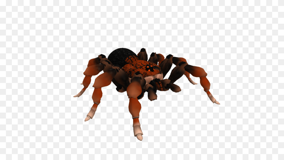 Spore Creature Rust Leg Tarantula, Animal, Invertebrate, Spider, Baby Png Image
