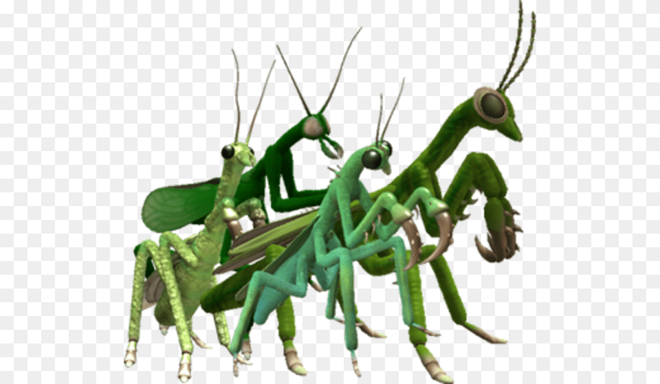 Spore Mantis Spore Know Your Meme, Animal, Grasshopper, Insect, Invertebrate Free Transparent Png