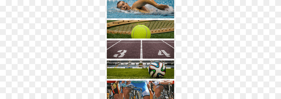 Sport Sphere, Ball, Tennis Ball, Tennis Free Png