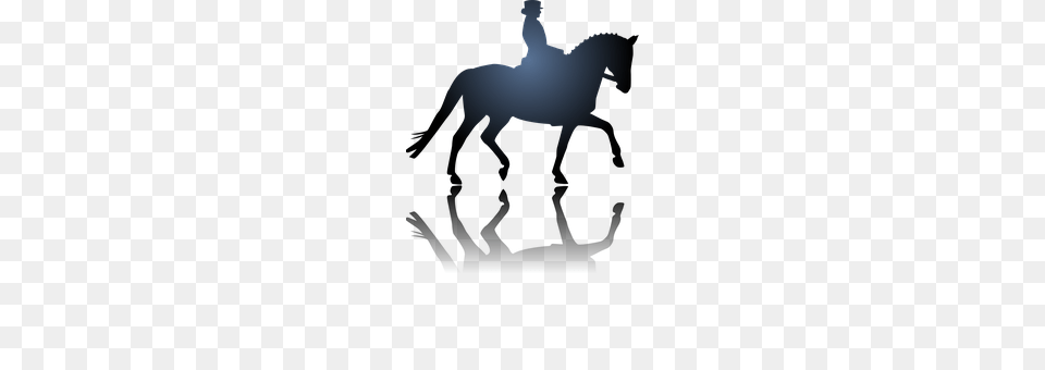 Sport Silhouette, People, Person, Animal Free Png Download