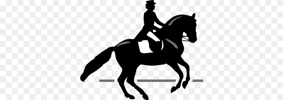 Sport Stencil, Animal, Horse, Mammal Png