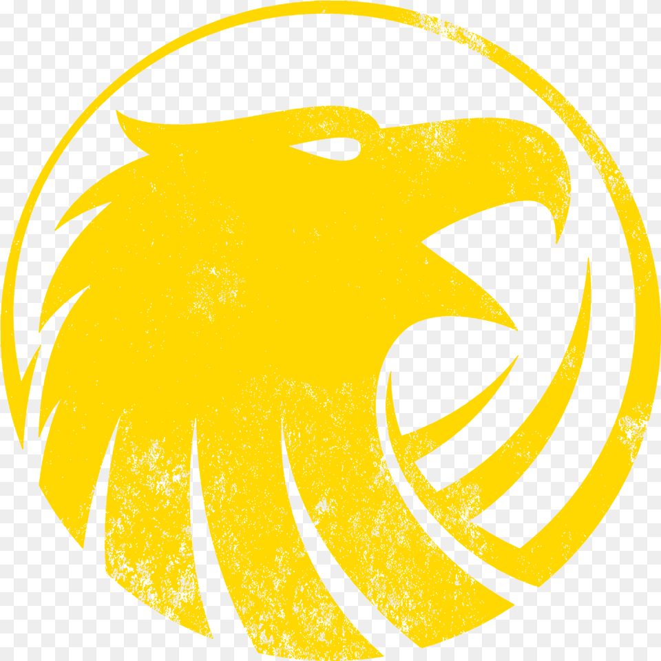 Sports Logos U2014 Aims Athletics Logo Design Golden Eagle Logo, Symbol, Emblem, Animal, Bear Free Png Download