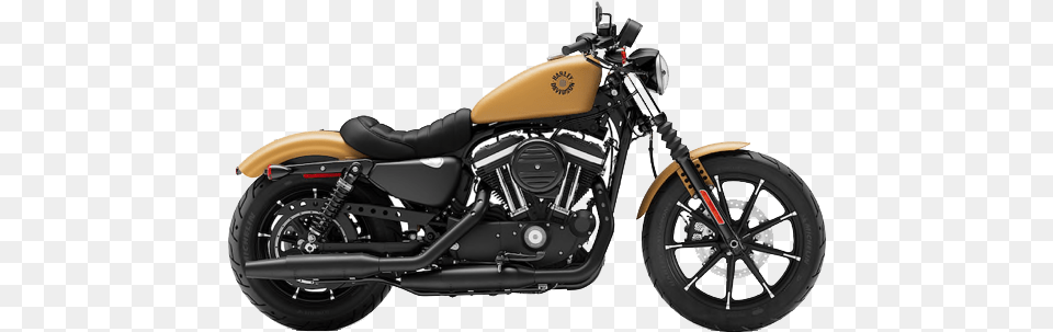 Sportster Harley Davidson 883 Iron 2019, Machine, Spoke, Motorcycle, Vehicle Free Transparent Png