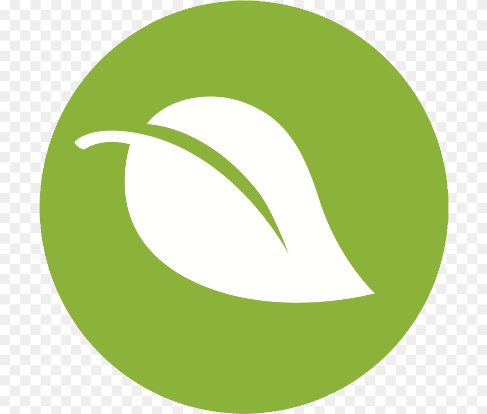 Spotify Logo Transparent Small Email Logo Green, Food, Fruit, Plant, Produce Free Png Download