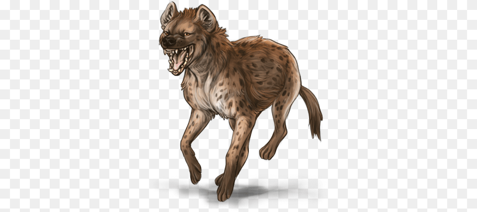 Spotted Hyena, Animal, Wildlife, Mammal, Tiger Free Transparent Png