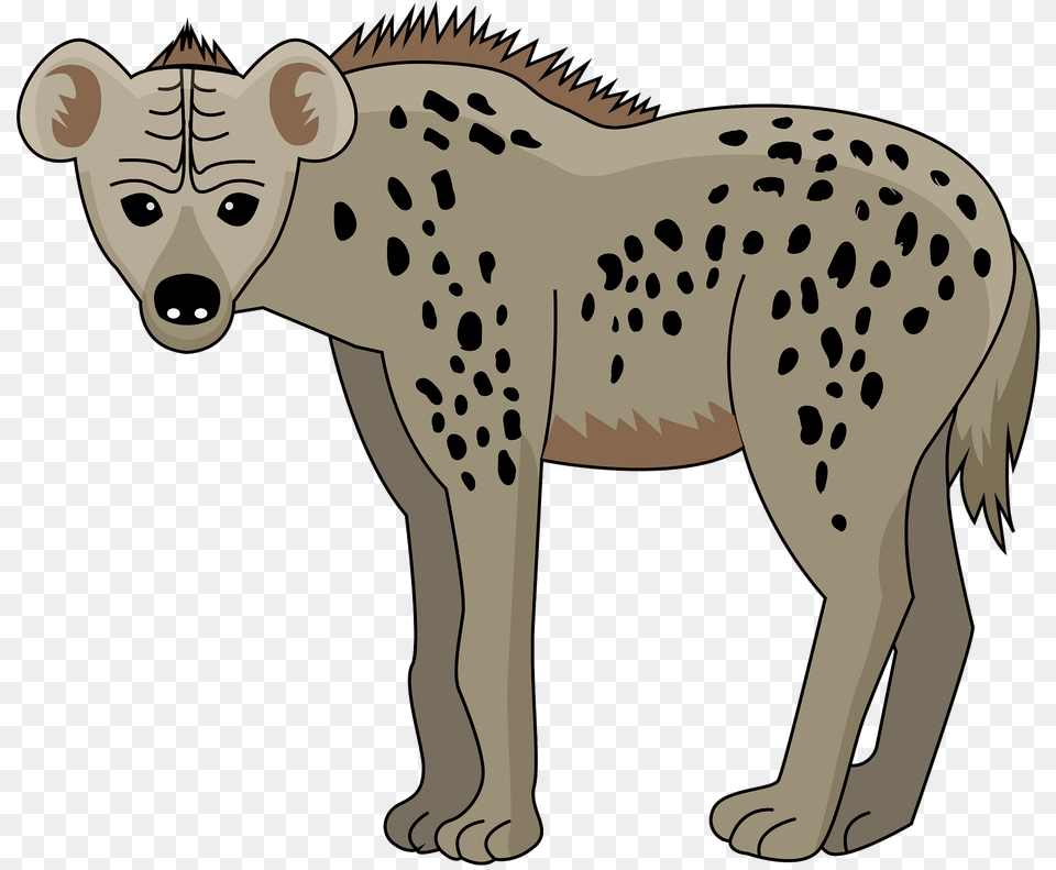 Spotted Hyena Clipart, Animal, Wildlife, Kangaroo, Mammal Png Image