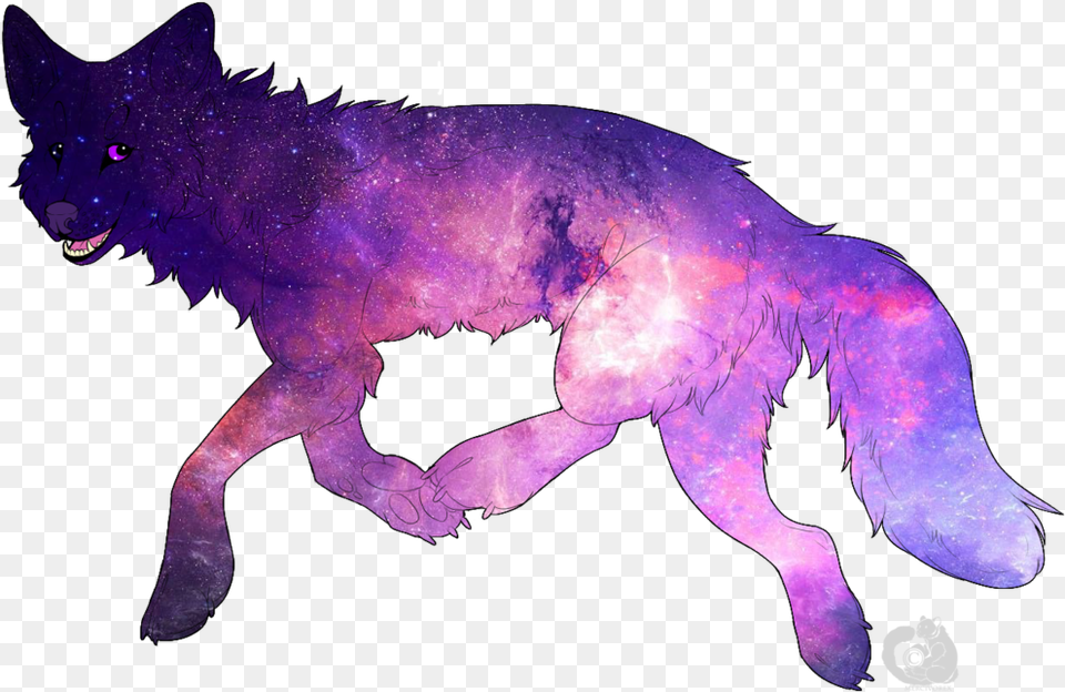 Spotted Hyena Images Transparent Galaxy Dog, Animal, Mammal, Wolf, Coyote Free Png