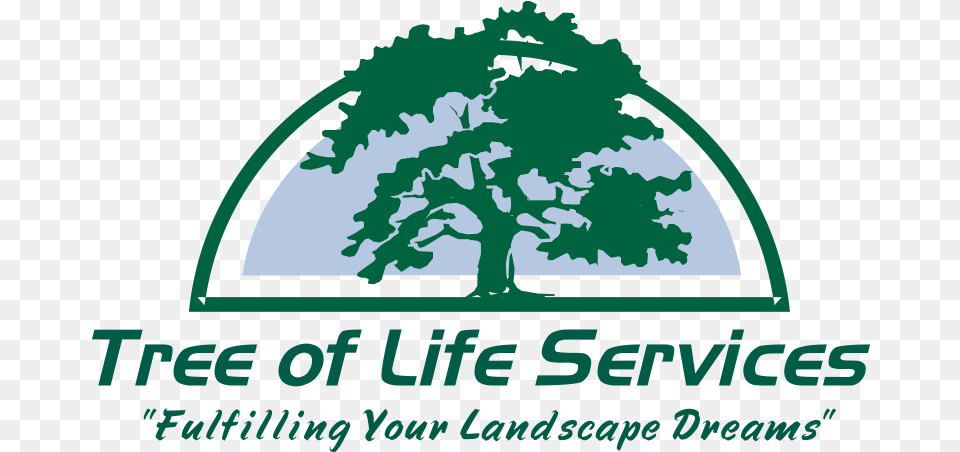 Spotted Lanternfly Landscaping Lawn Care Logo, Oak, Plant, Tree, Green Free Transparent Png