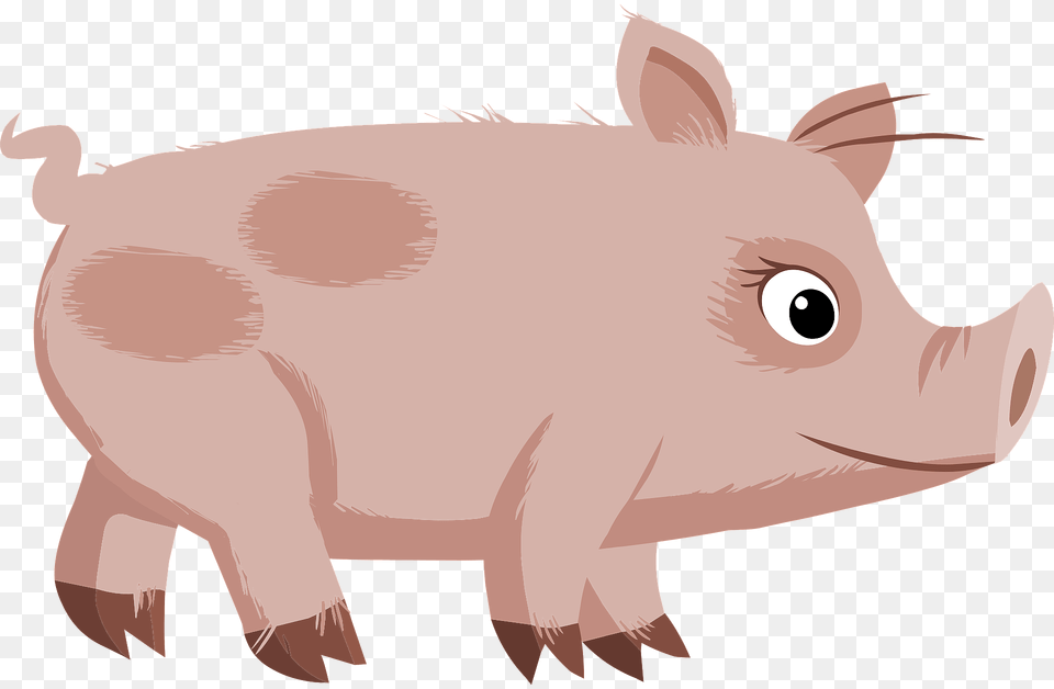 Spotted Pig Clipart, Animal, Boar, Hog, Mammal Free Png