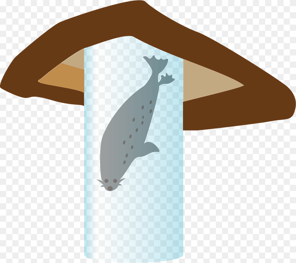 Spotted Seal Clipart, Animal, Mammal, Sea Life, Whale Free Png