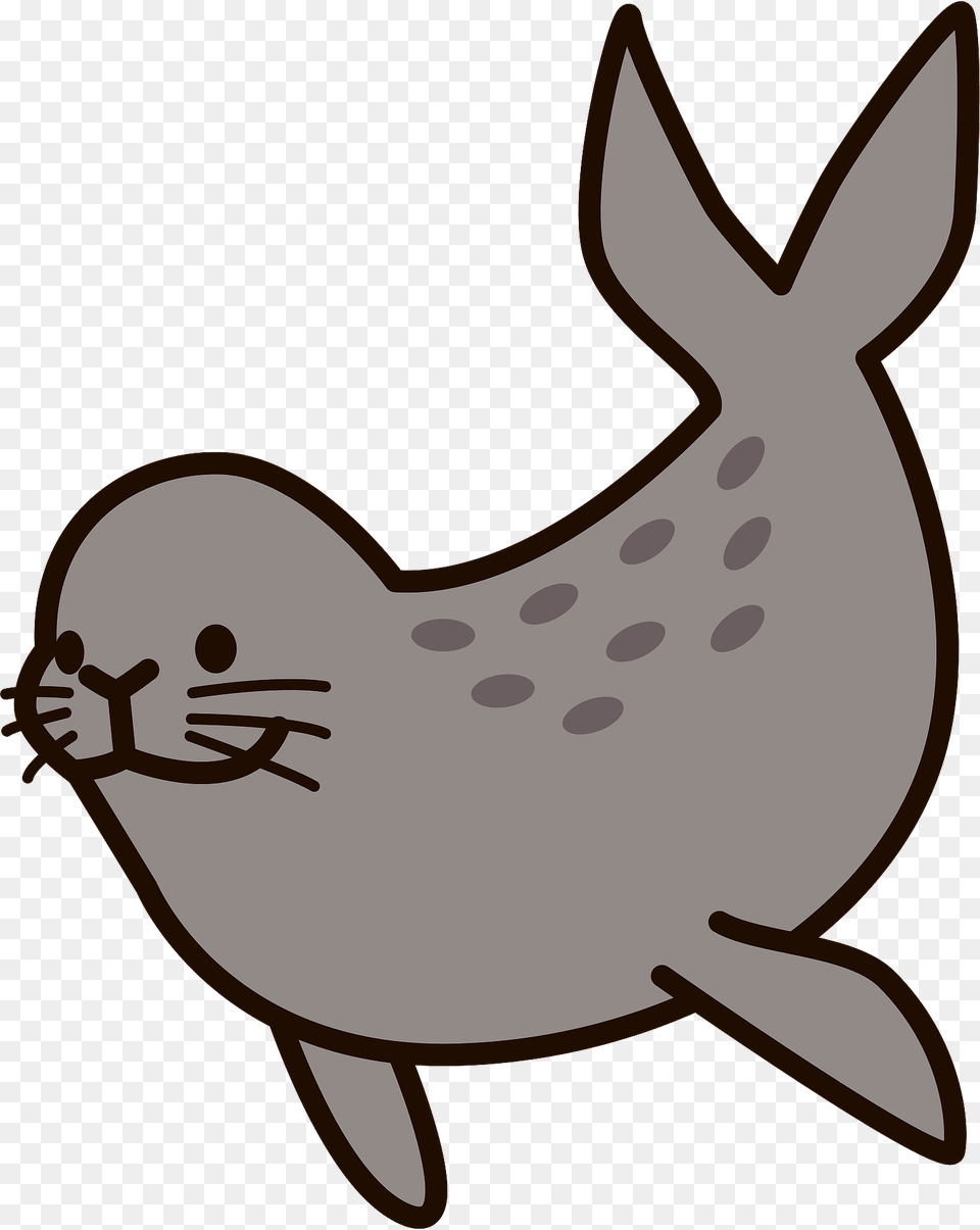 Spotted Seal Clipart, Bow, Weapon, Animal, Sea Life Png