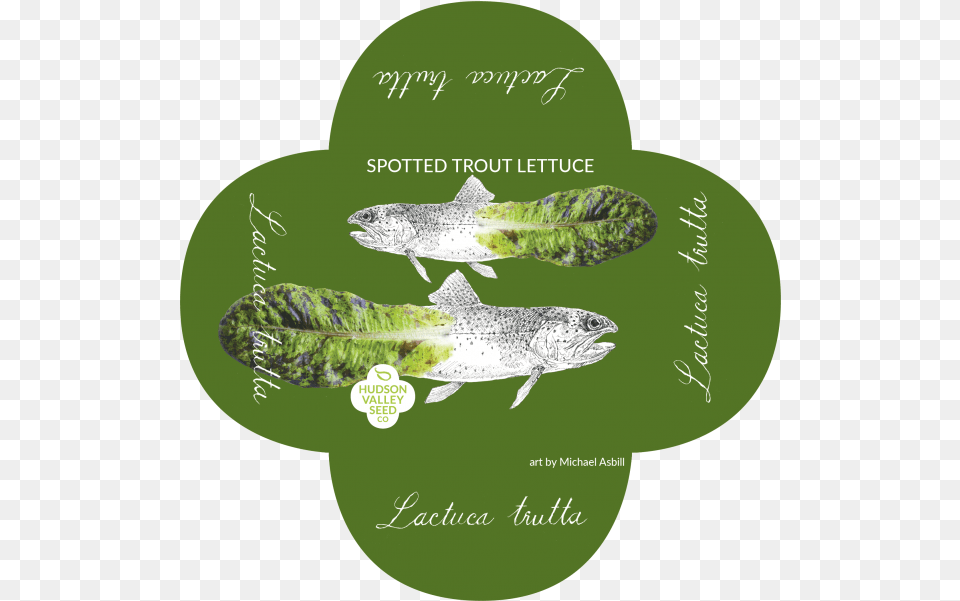 Spotted Trout Lettuce Quatrefoil Trout, Advertisement, Animal, Fish, Sea Life Png