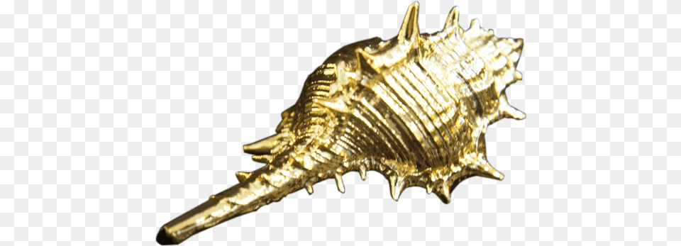 Spray Gold Chrome Effect Paint Gold Sea Shell, Animal, Invertebrate, Sea Life, Seashell Png Image