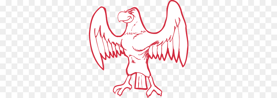 Spread Animal, Bird, Vulture, Canine Free Transparent Png